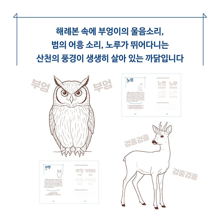 카드뉴스3