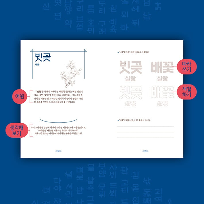 카드뉴스5