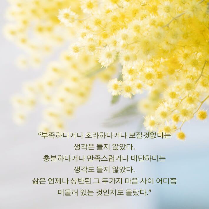 카드뉴스0