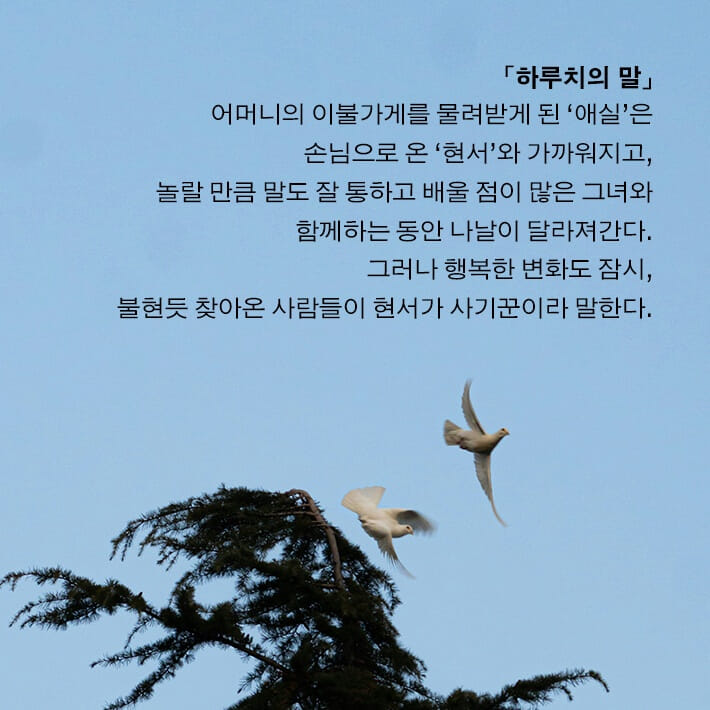 카드뉴스5