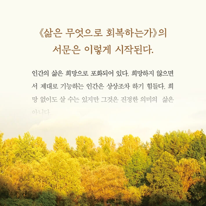 카드뉴스3