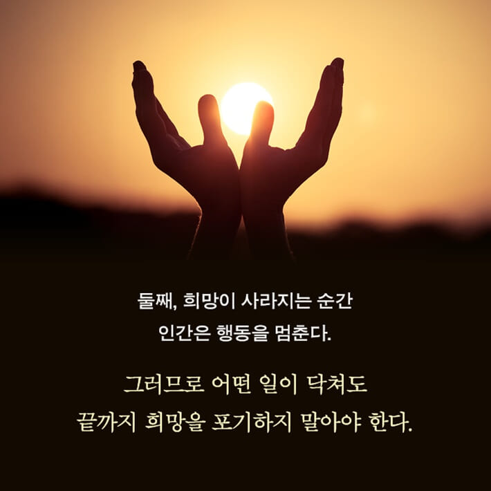 카드뉴스6