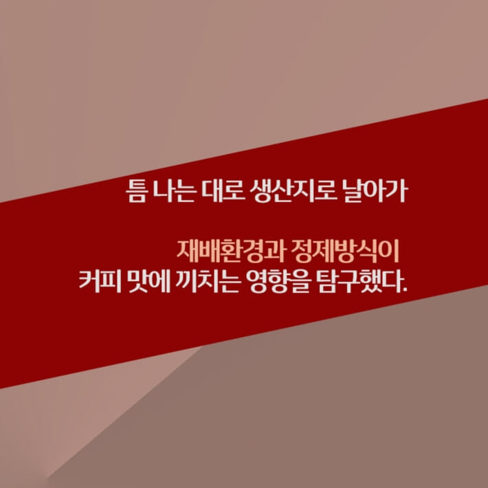 카드뉴스3