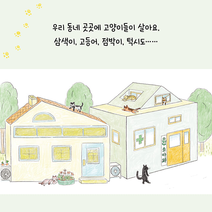카드뉴스2