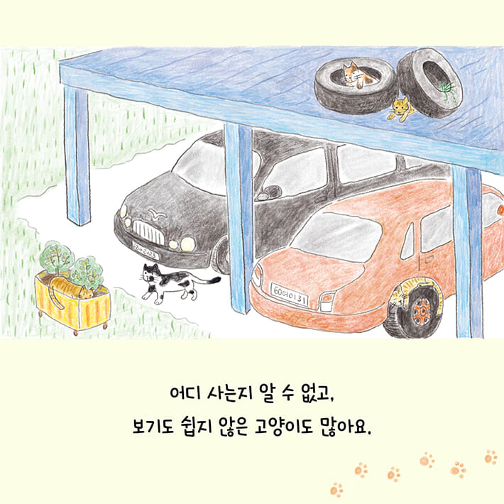 카드뉴스3