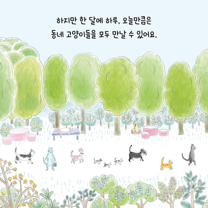 카드뉴스4