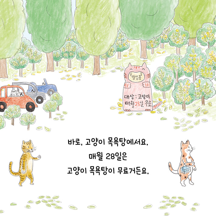 카드뉴스5