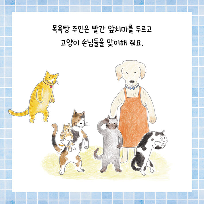 카드뉴스7