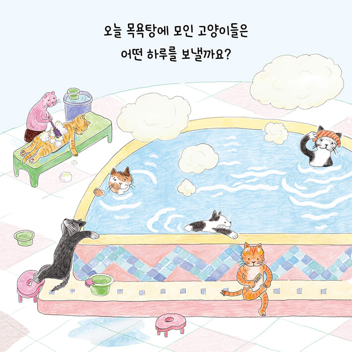 카드뉴스8