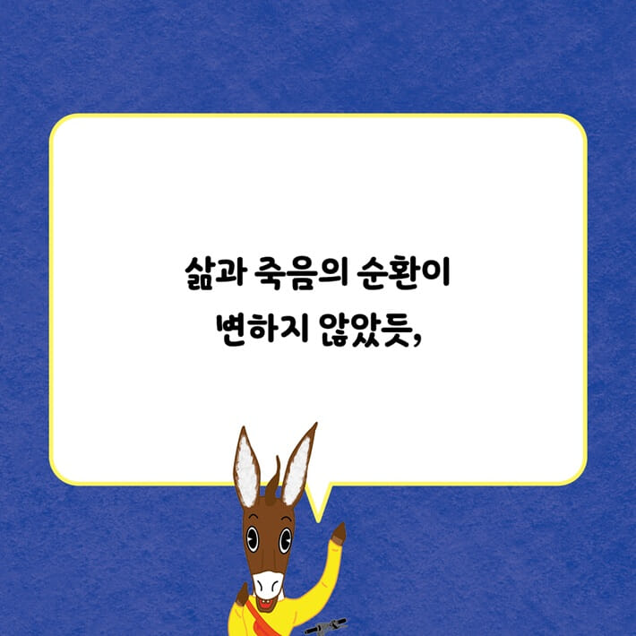 카드뉴스6