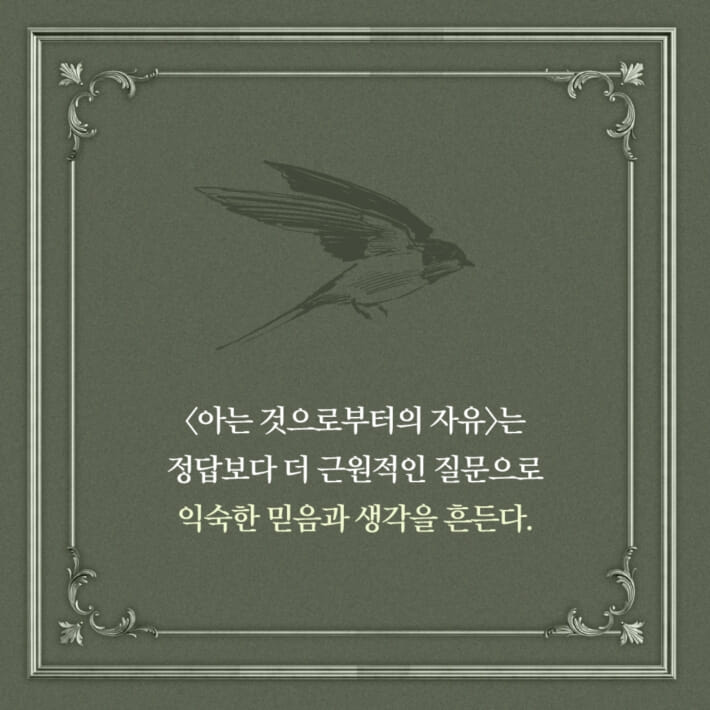 카드뉴스3