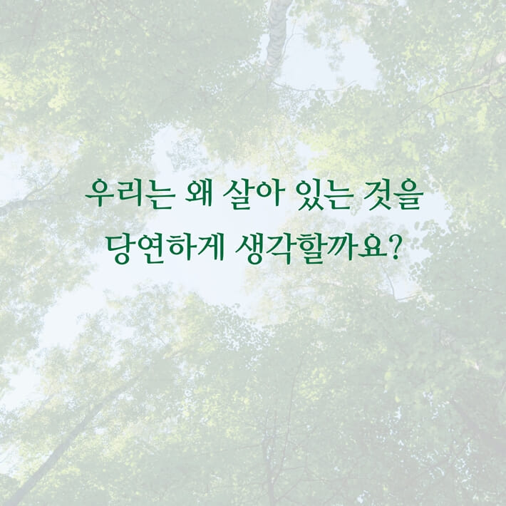 카드뉴스0