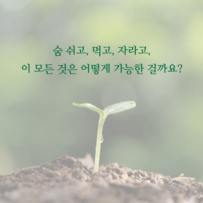 카드뉴스1