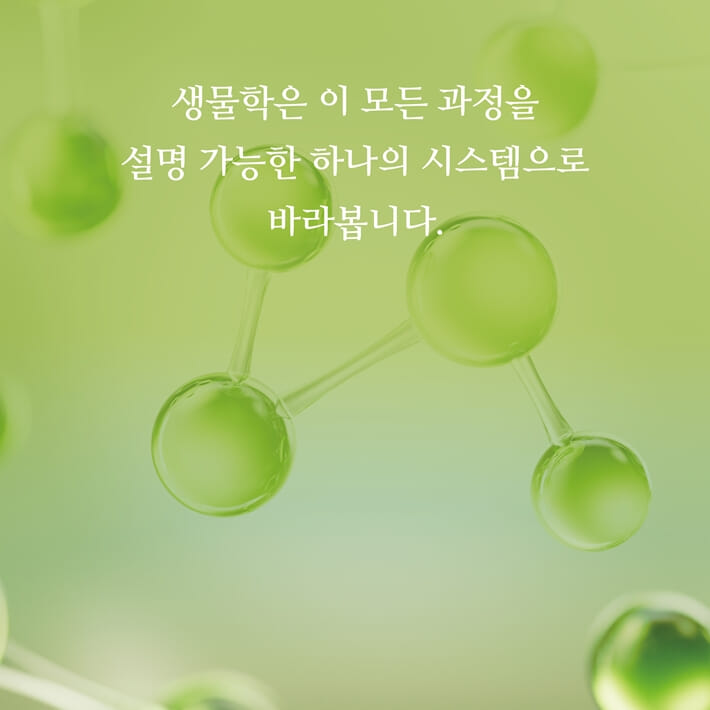 카드뉴스2