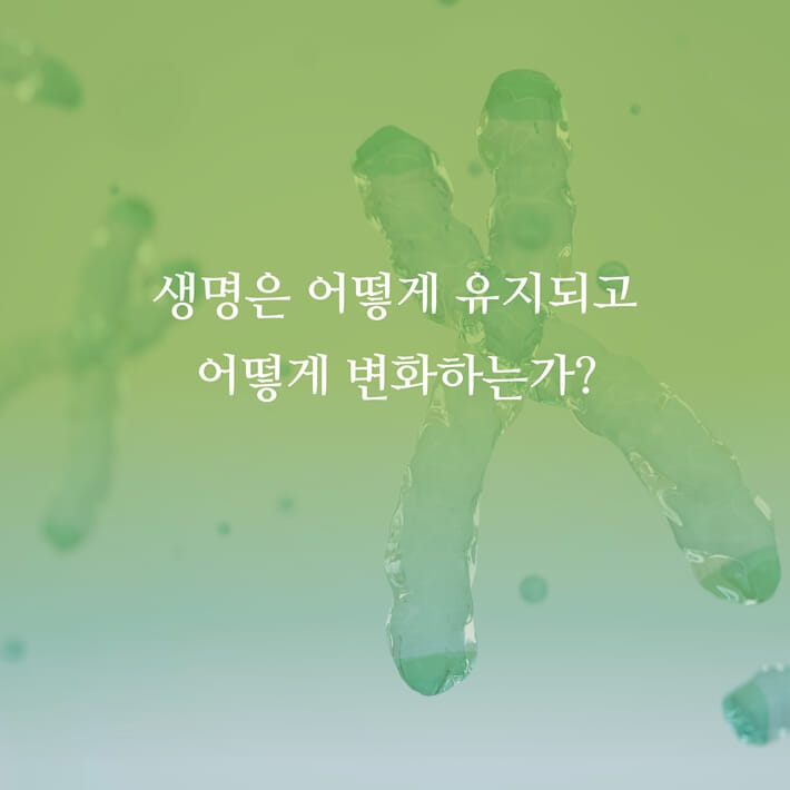 카드뉴스4