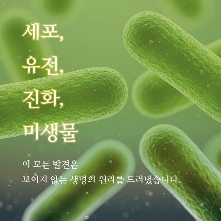 카드뉴스5