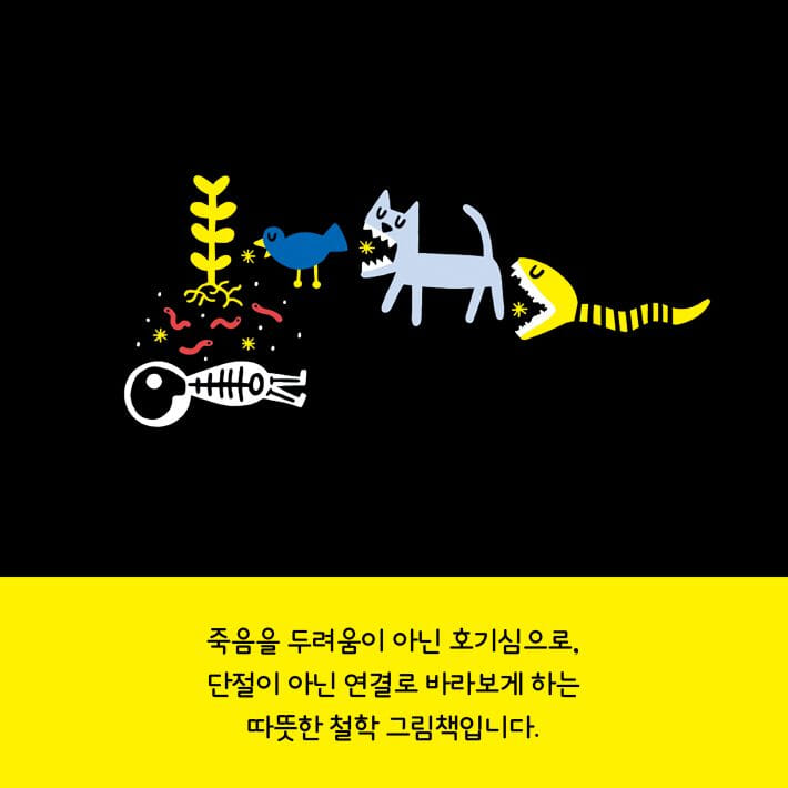 카드뉴스5
