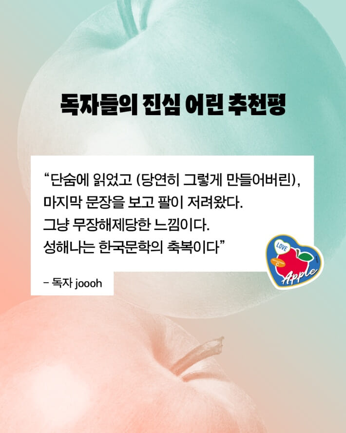 카드뉴스3