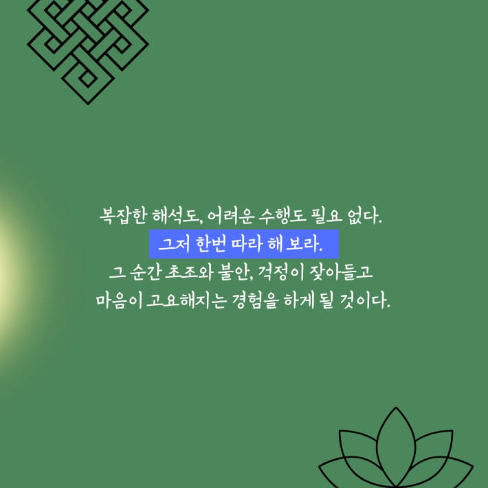 카드뉴스6