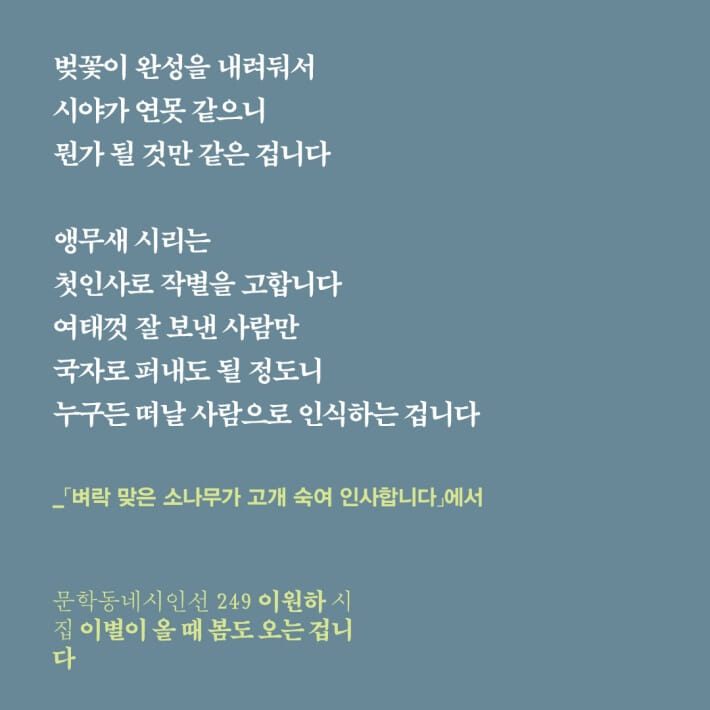 카드뉴스1