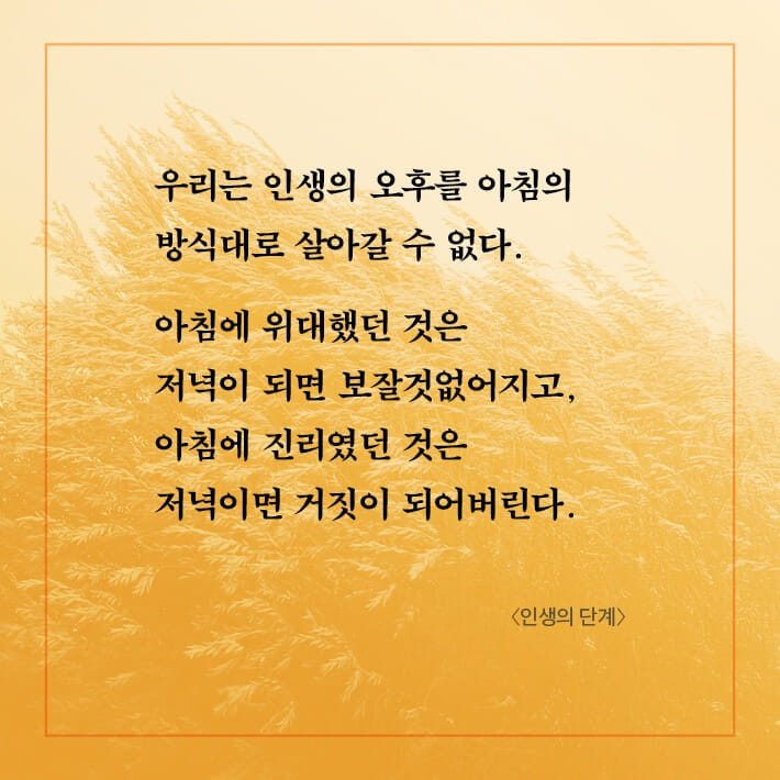 카드뉴스2
