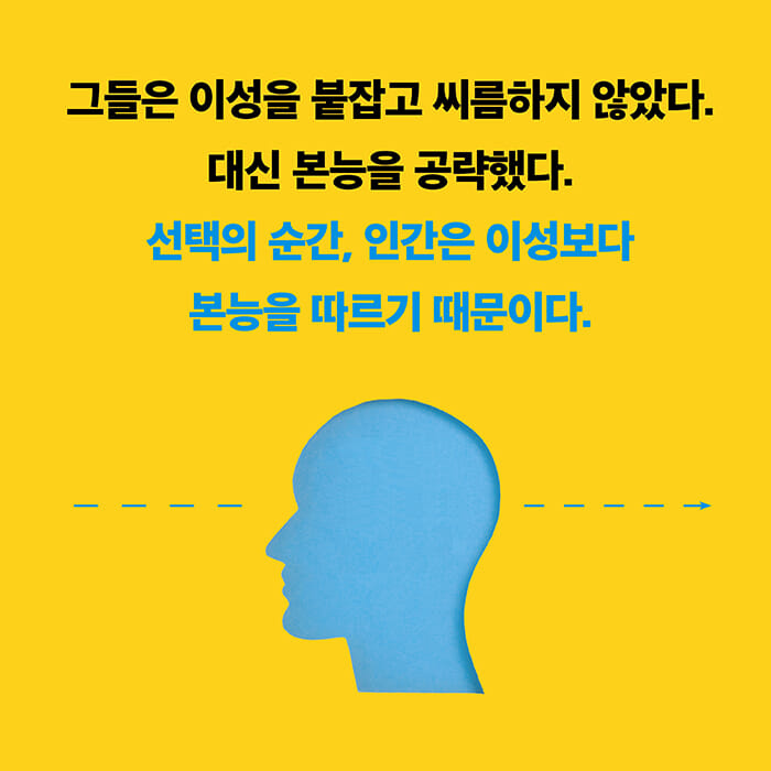카드뉴스4