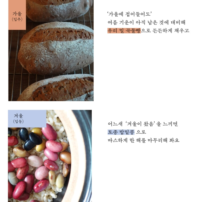 카드뉴스4