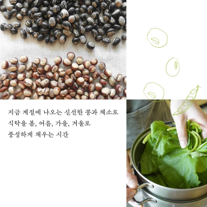 카드뉴스7