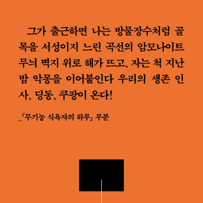 카드뉴스3
