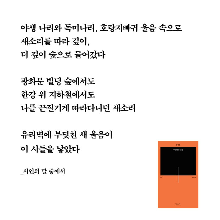 카드뉴스8
