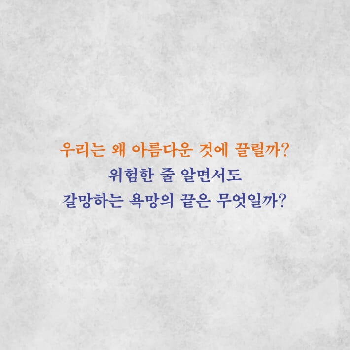 카드뉴스2