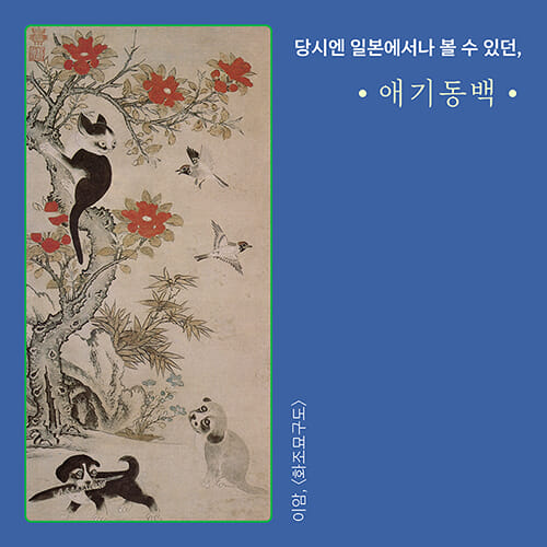 카드뉴스5