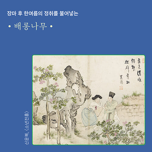 카드뉴스6
