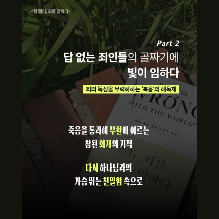 카드뉴스3