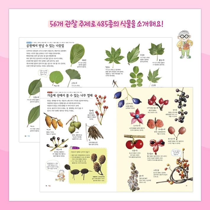 카드뉴스2
