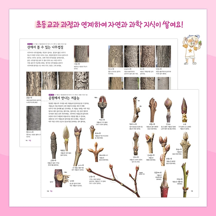 카드뉴스3