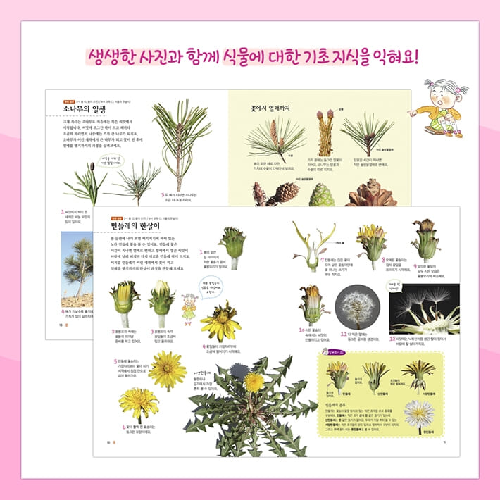카드뉴스4