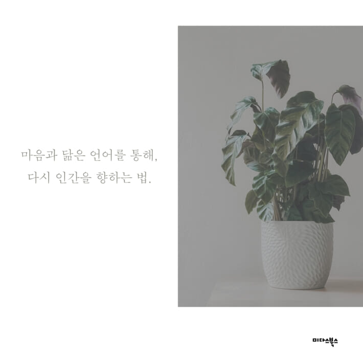 카드뉴스4
