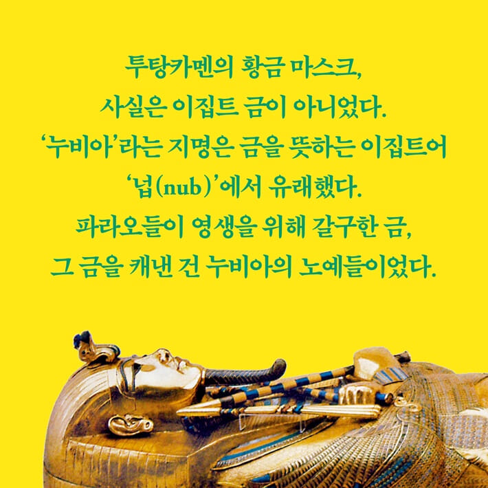 카드뉴스3