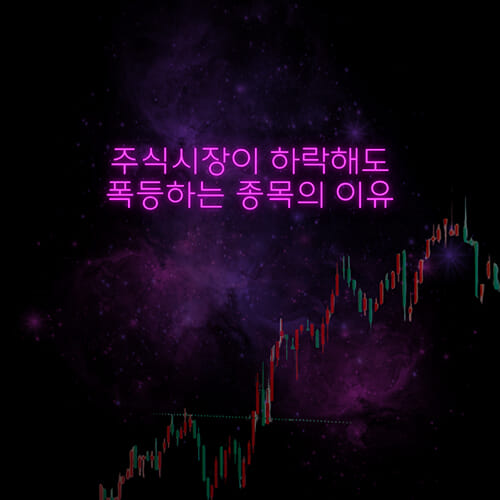 카드뉴스0