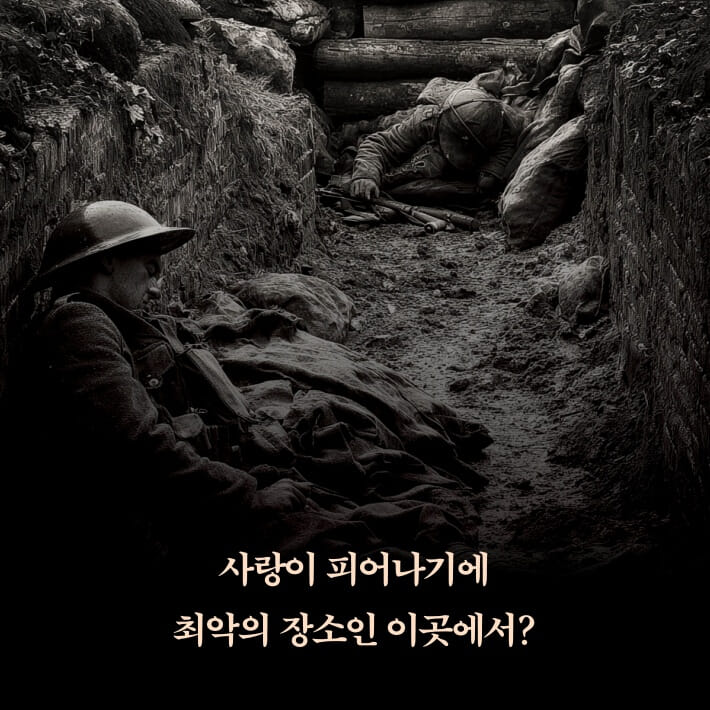 카드뉴스7
