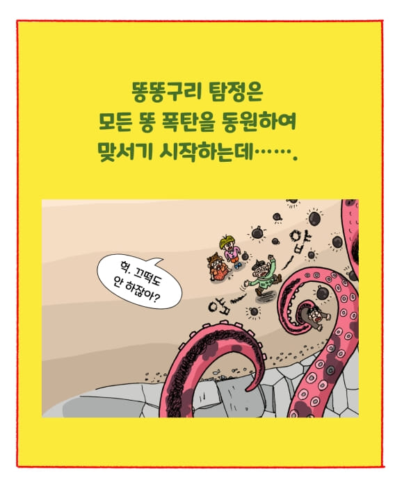 카드뉴스3