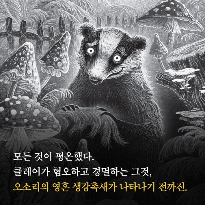 카드뉴스3