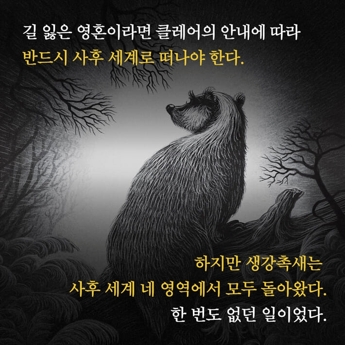 카드뉴스4