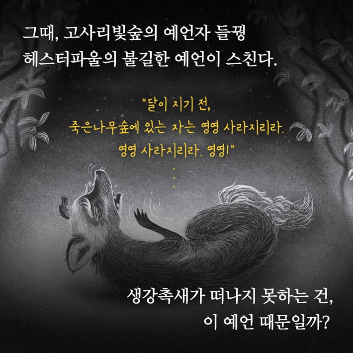 카드뉴스5