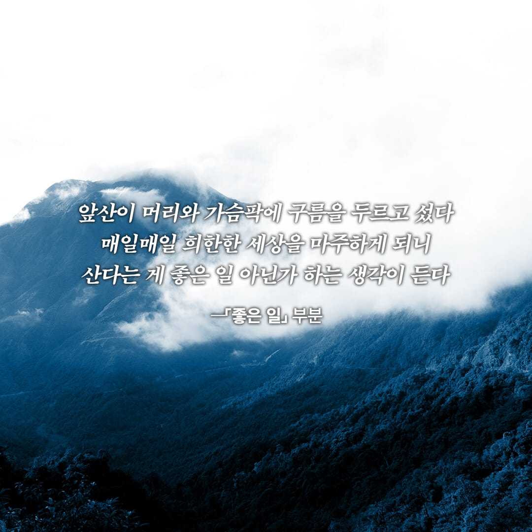 카드뉴스0