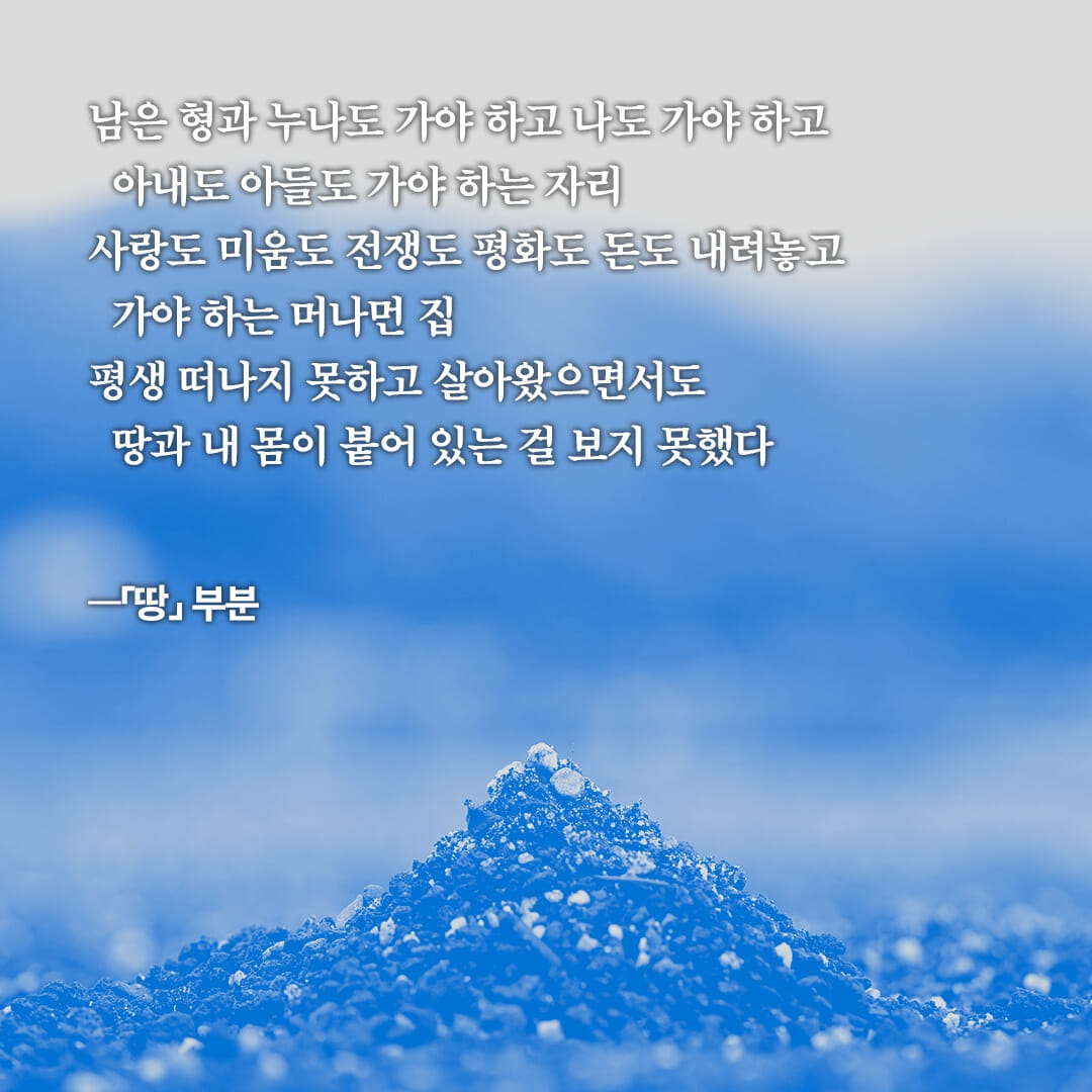 카드뉴스2