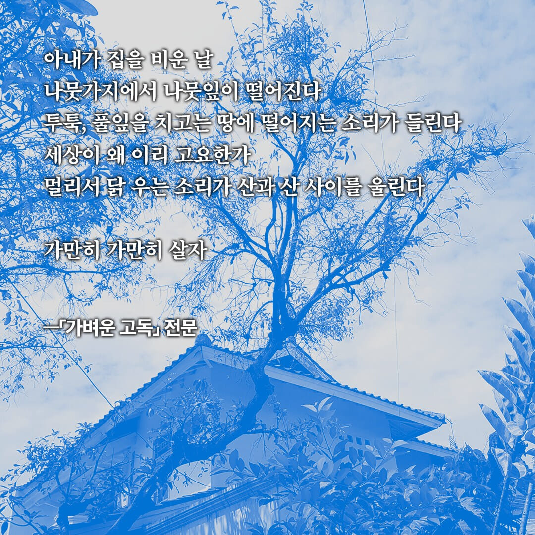 카드뉴스3