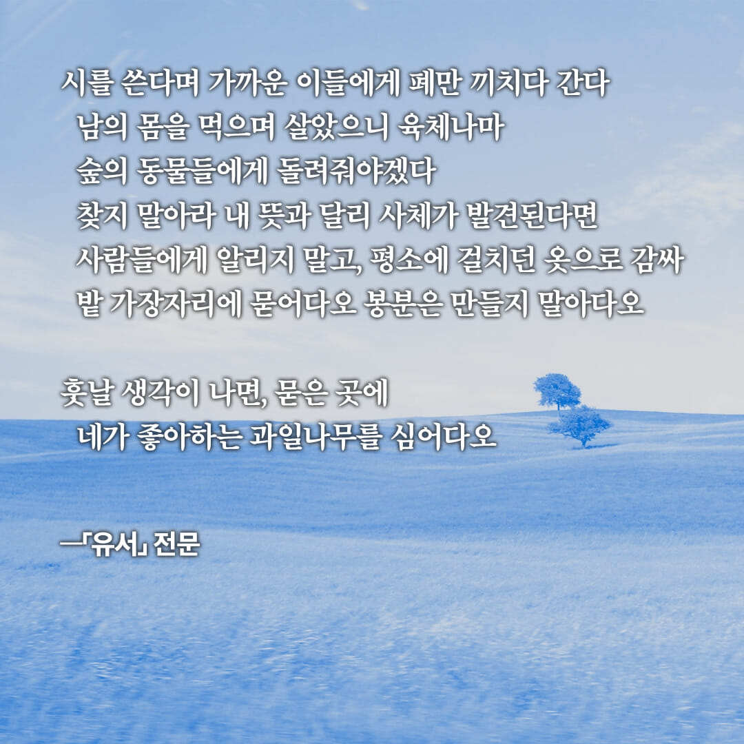 카드뉴스5