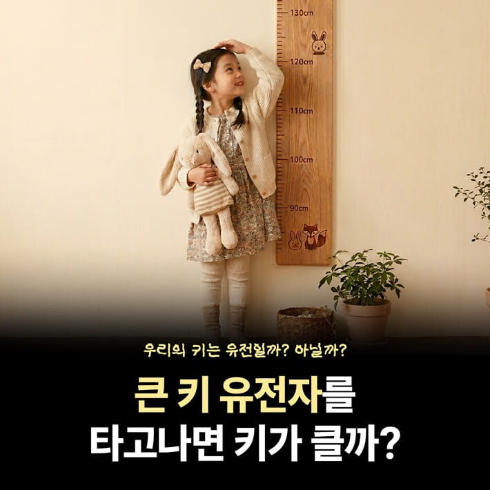 카드뉴스0